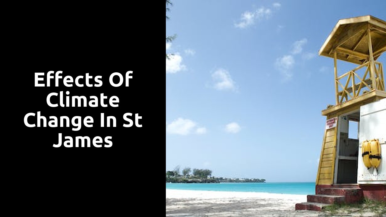 Effects of Climate Change in St James