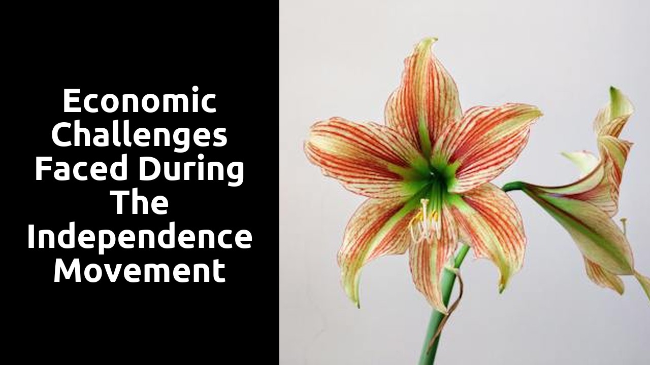 Economic Challenges Faced During the Independence Movement