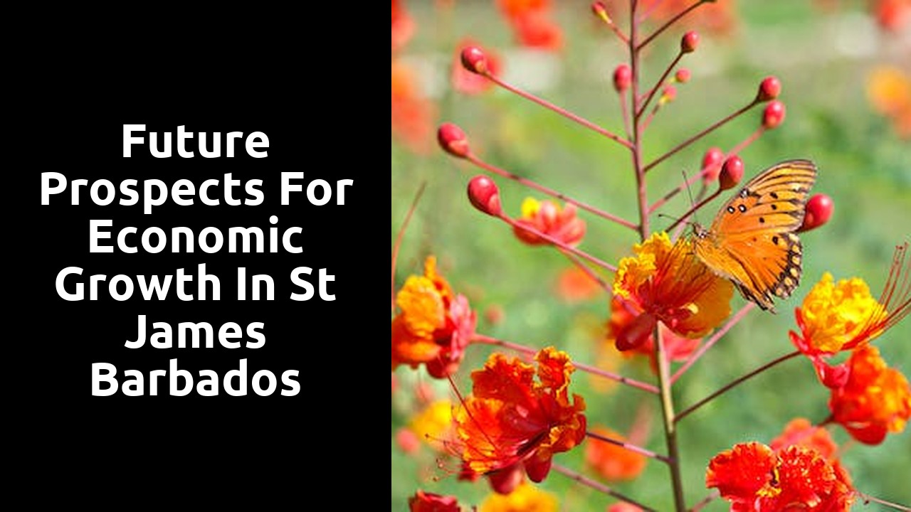 Future Prospects for Economic Growth in St James Barbados