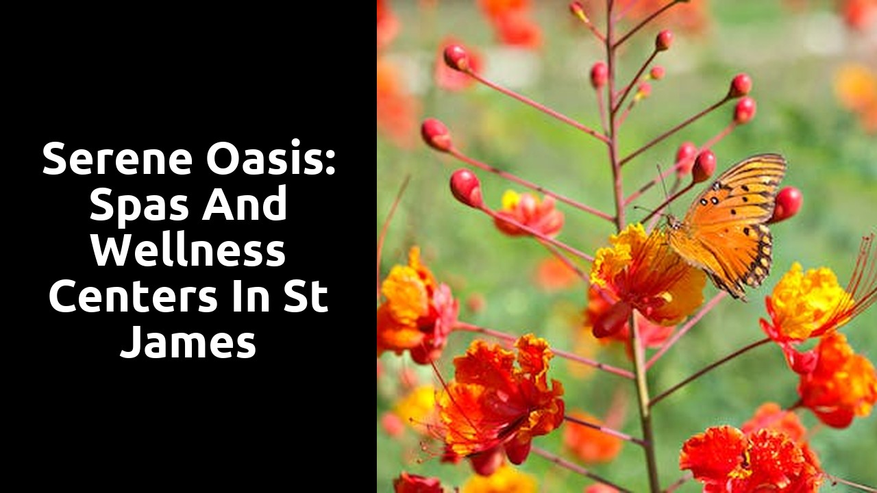 Serene Oasis: Spas and Wellness Centers in St James