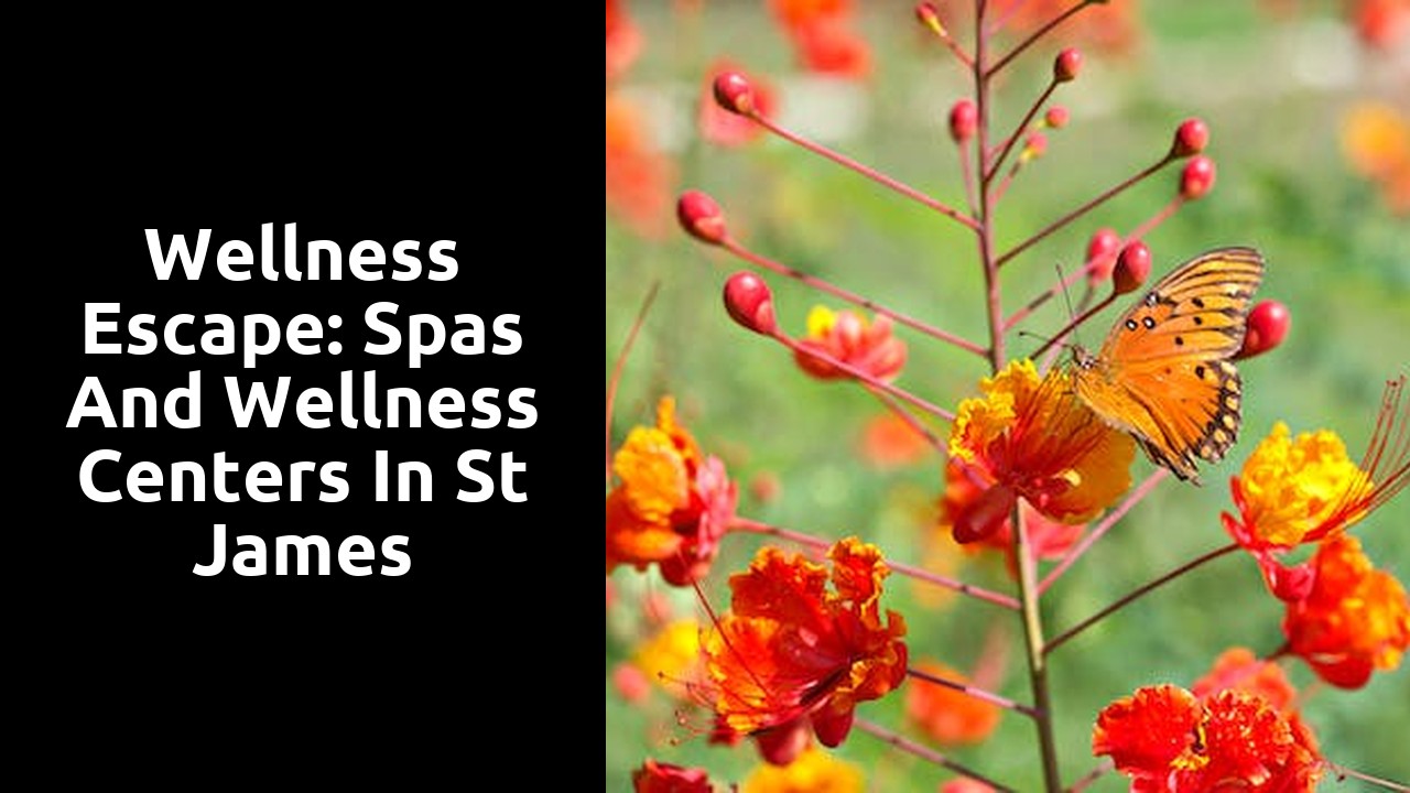 Wellness Escape: Spas and Wellness Centers in St James