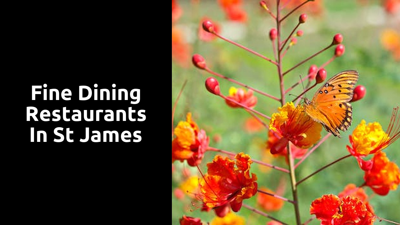 Fine Dining Restaurants in St James