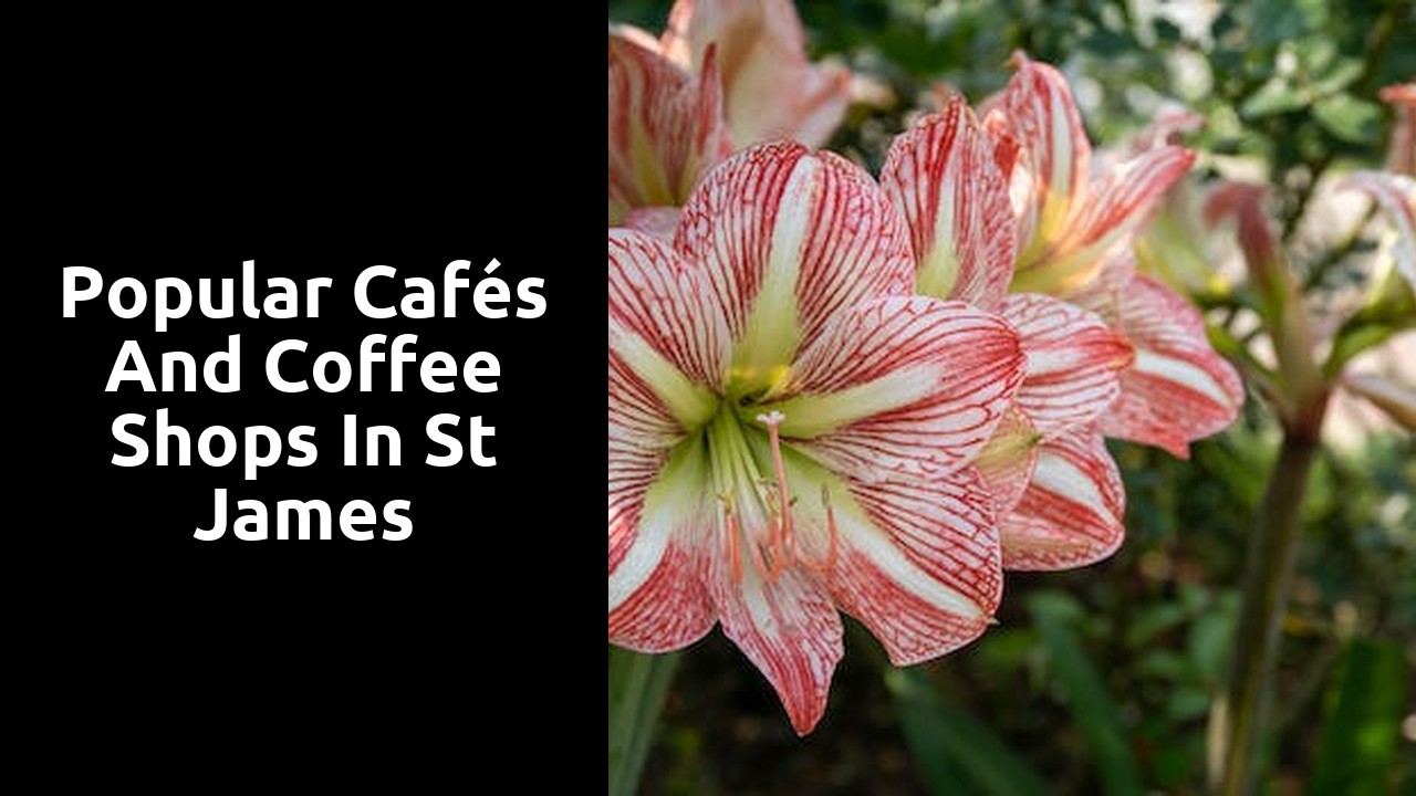 Popular Cafés and Coffee Shops in St James