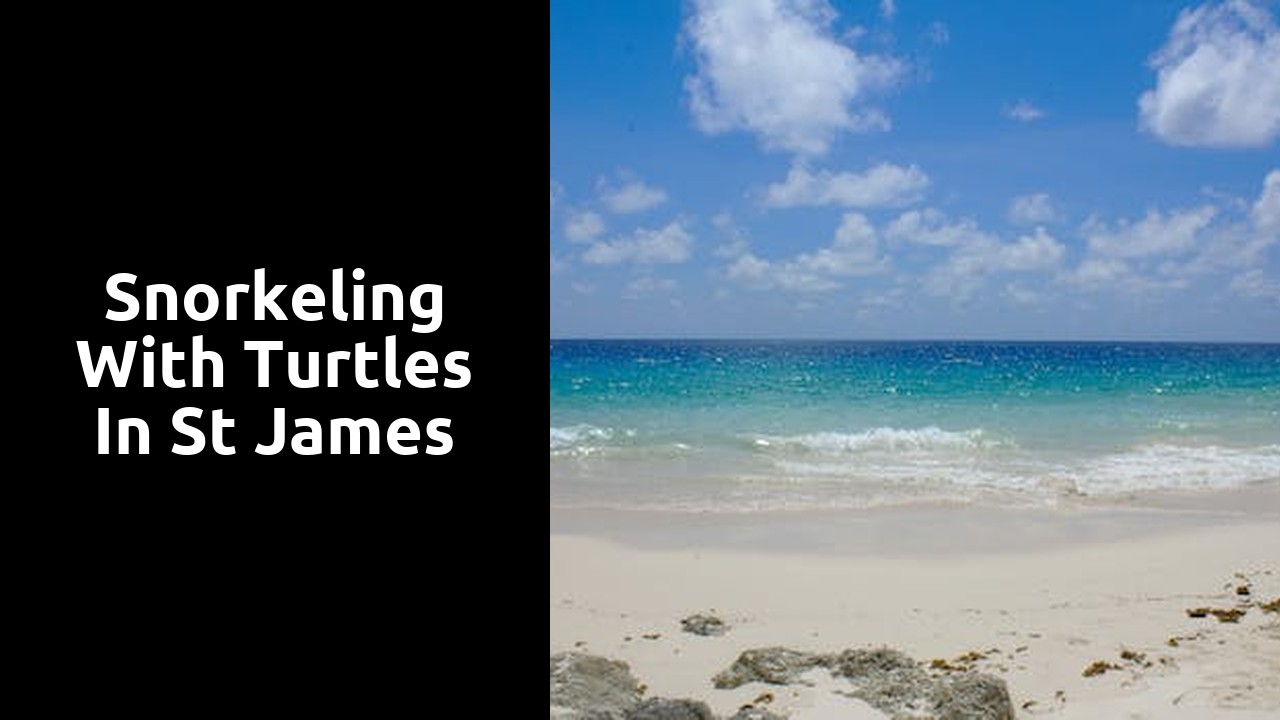 Snorkeling with Turtles in St James